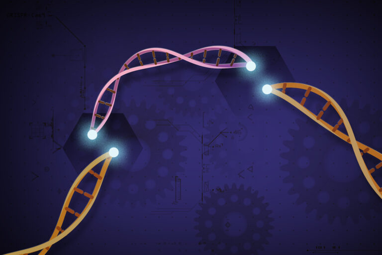 CRISPR - image credit NIH